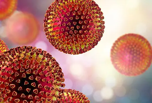 Lassa Fever Outbreak Kills 146, Infects 25 Doctors Across Nigeria