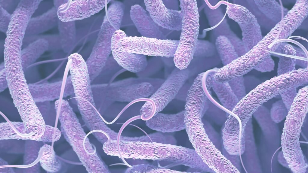 Plateau Cholera Outbreak Claims Five Lives