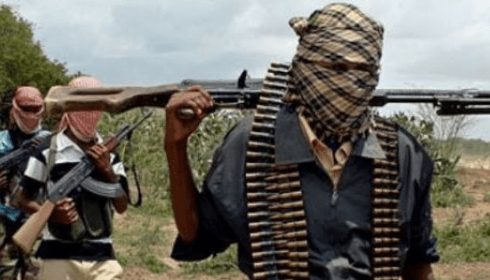 Terrorists Abduct Zamfara LG Chairman, Unalive Four Security Personnel